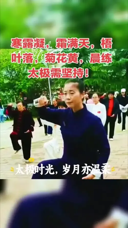 People practicing Tai Chi together outdoors in a park on a cold dew morning