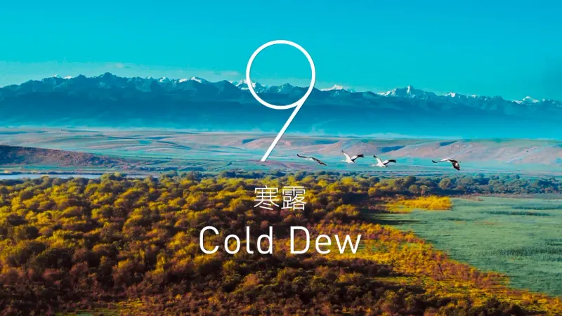 Cold Dew