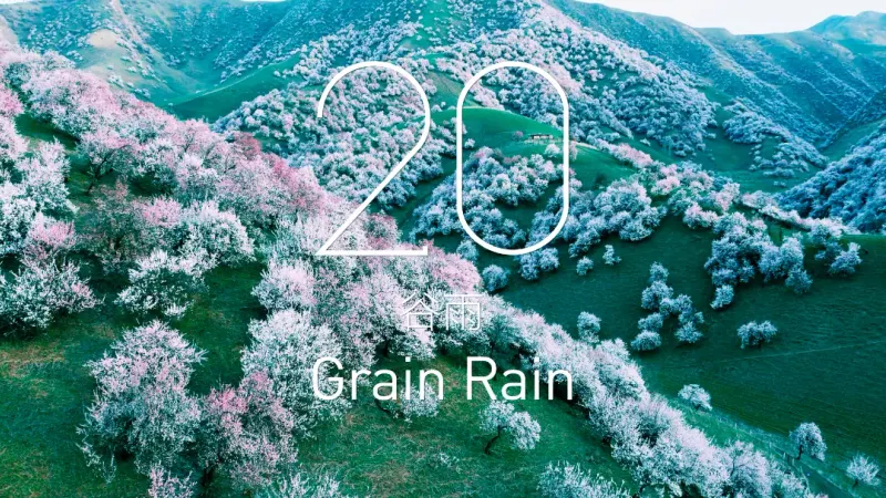 Grain Rain