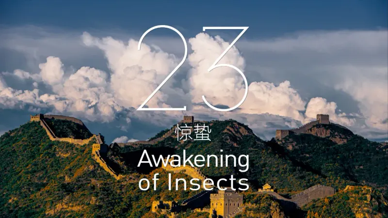 Insects Awaken